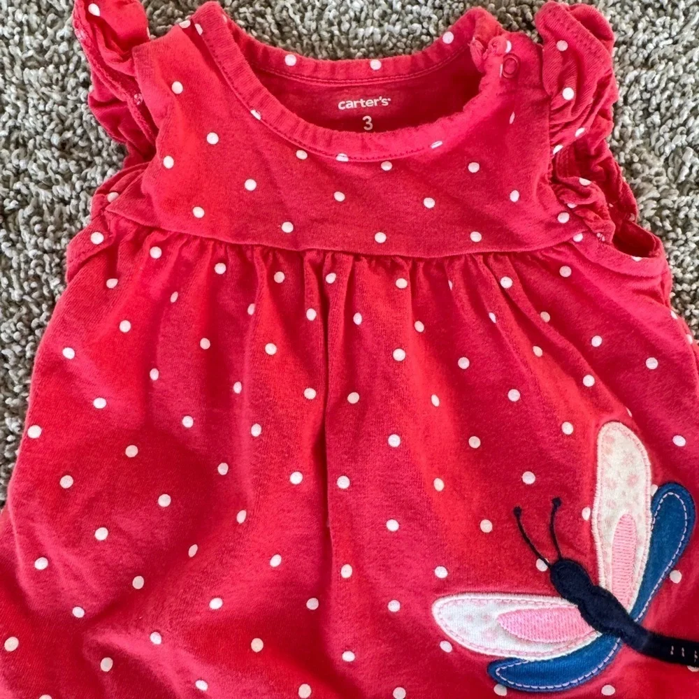 Carters elastic empire